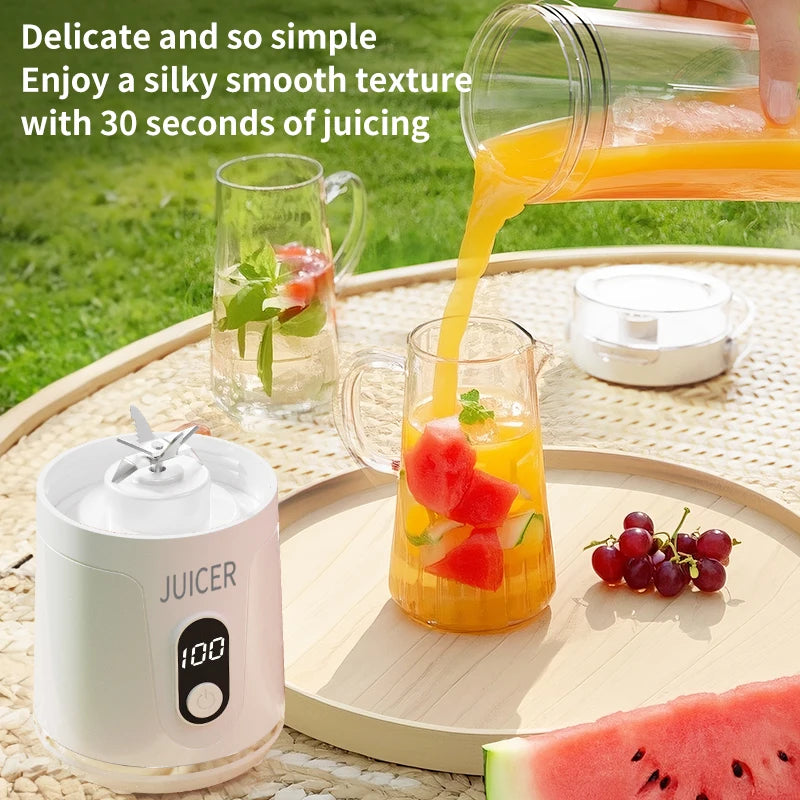 Outdoor Portable Blender 600ml