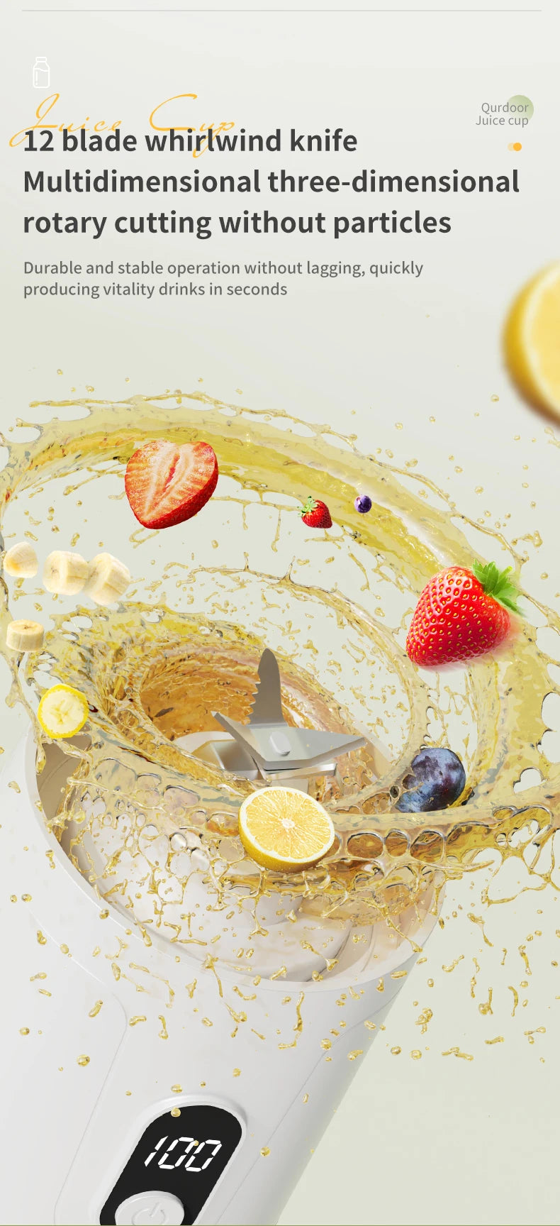 Outdoor Portable Blender 600ml
