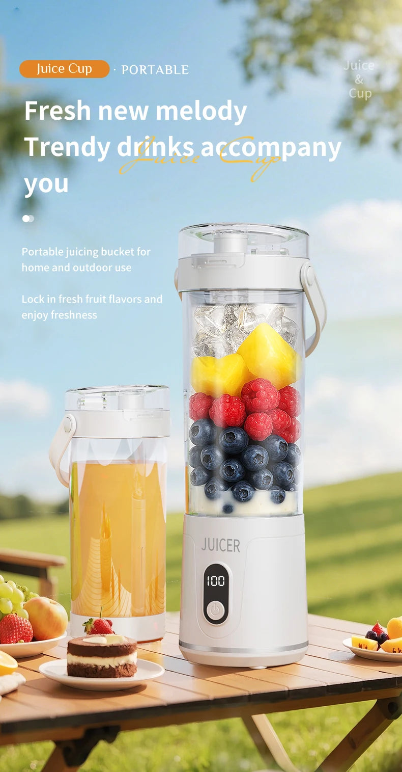 Outdoor Portable Blender 600ml