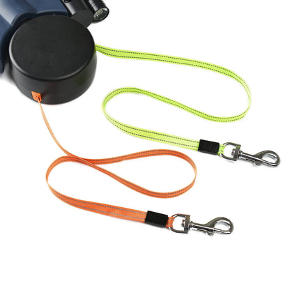 Twilight Trotter Leash